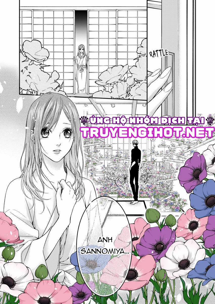 Mộng Ước Trên Những Trang Giấy 15.2 trang 8