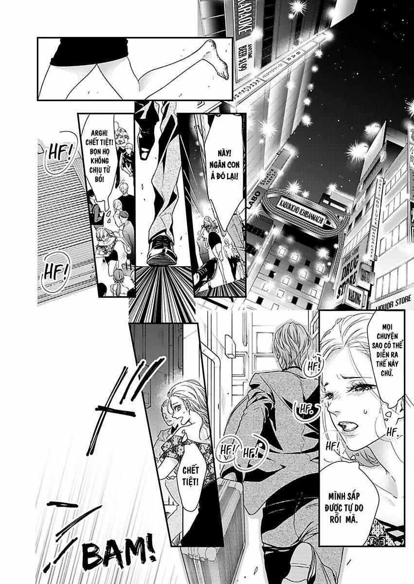 Mộng Ước Trên Những Trang Giấy 17.1 trang 6