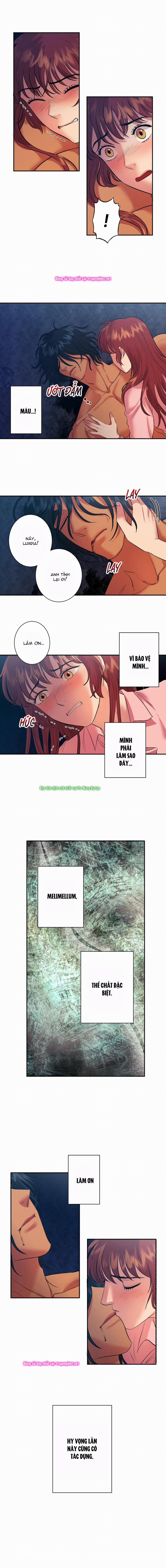 Một Lòng Một Dạ 10 trang 11