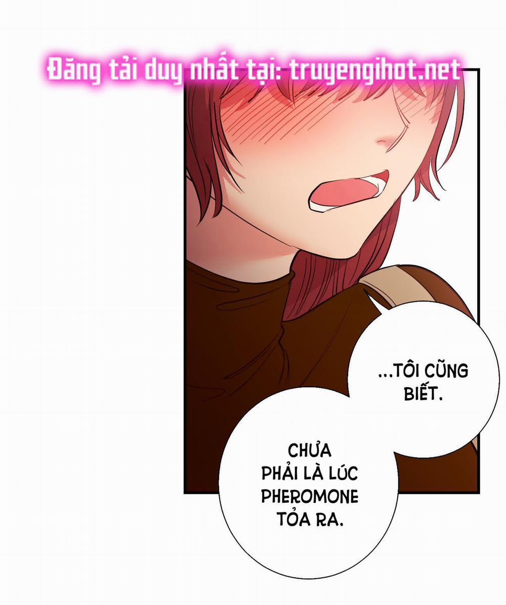 Một Lòng Một Dạ 24.2 trang 3