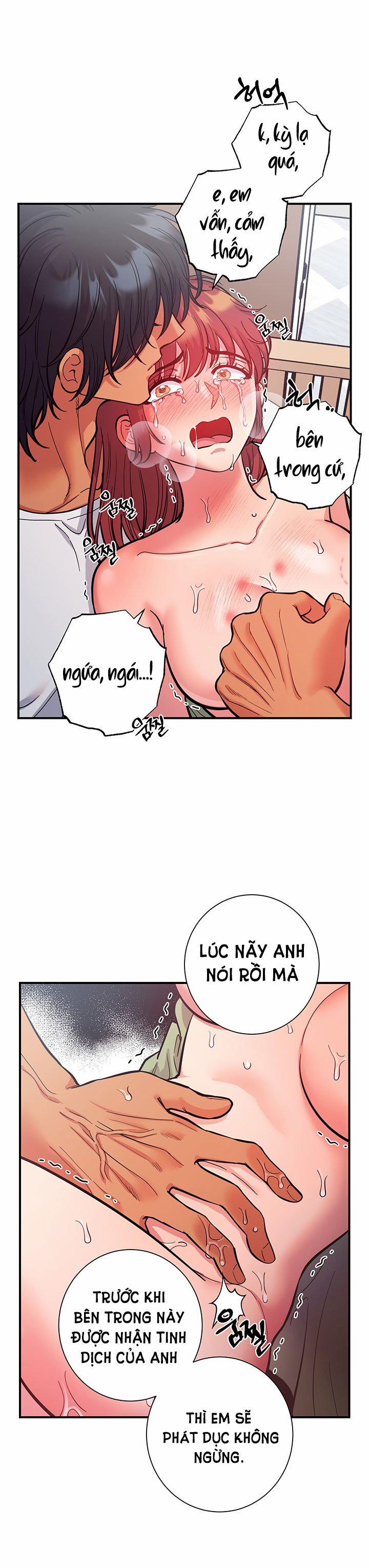 Một Lòng Một Dạ 63.2 trang 4