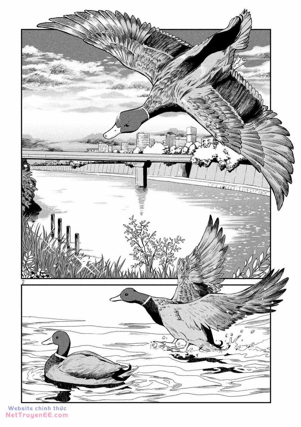 Mưa, Tôi Và Em 43 trang 1