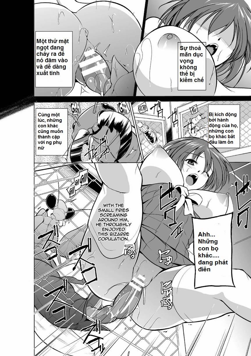 Mushi Yuugi 2 trang 12