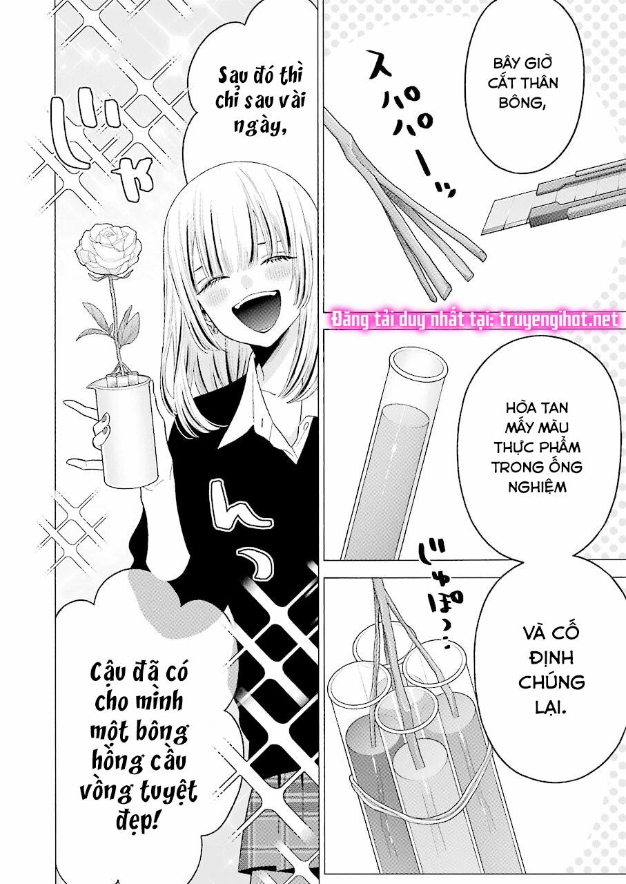 Nàng Nổi Loạn X Chàng Thợ May 59 trang 13