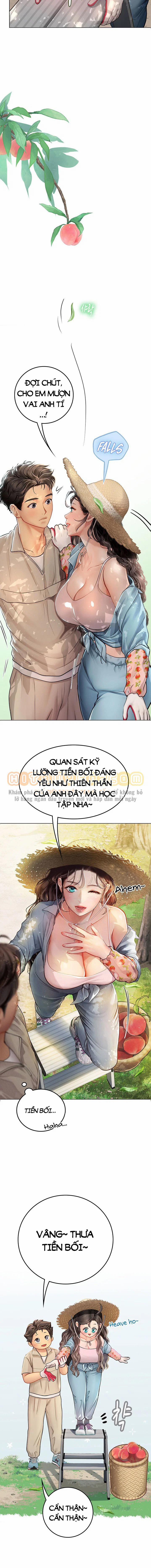 Nàng tiên cá tôi yêu 28 trang 7