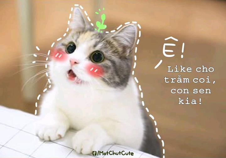 Naritai no! ELLE -Fuyukawa-ke Shitei Monogatari- Oneshot trang 23