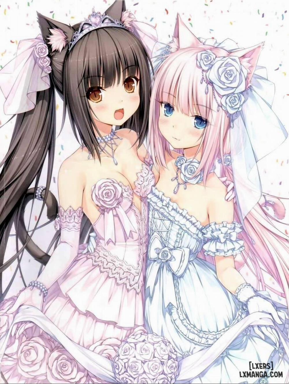 Neko Paradise 1 trang 1