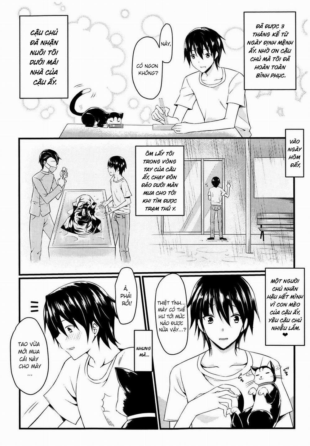 Neko to Anata no Monogatari Oneshot trang 5