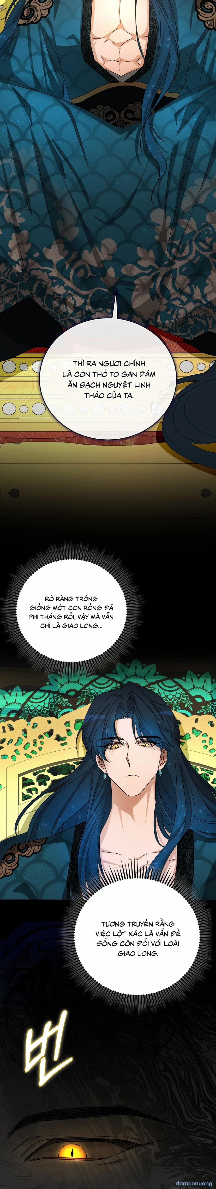 Ngọc Thỏ Rơi Xuống Long Cung OneShot trang 5