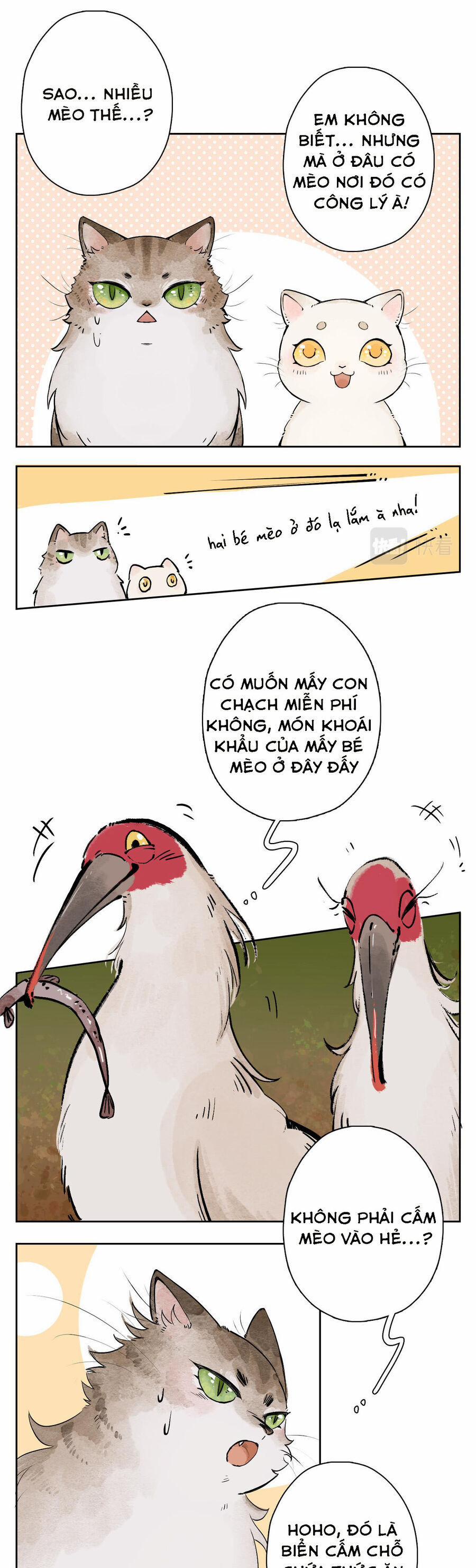 Ngũ Miêu 25 trang 11