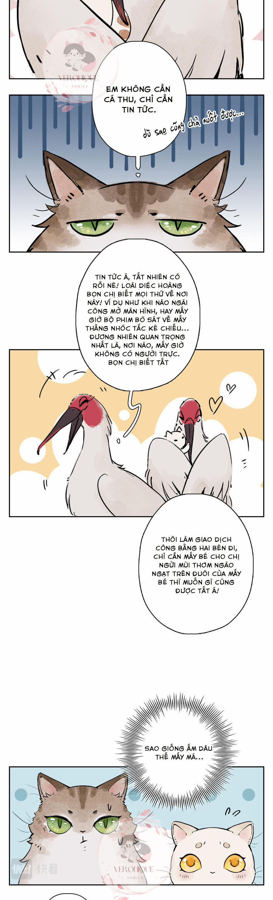 Ngũ Miêu 25 trang 13