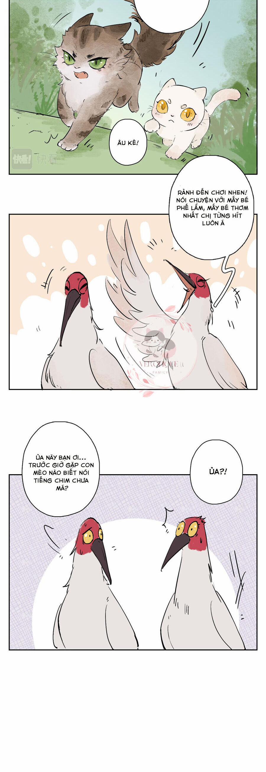 Ngũ Miêu 25 trang 16