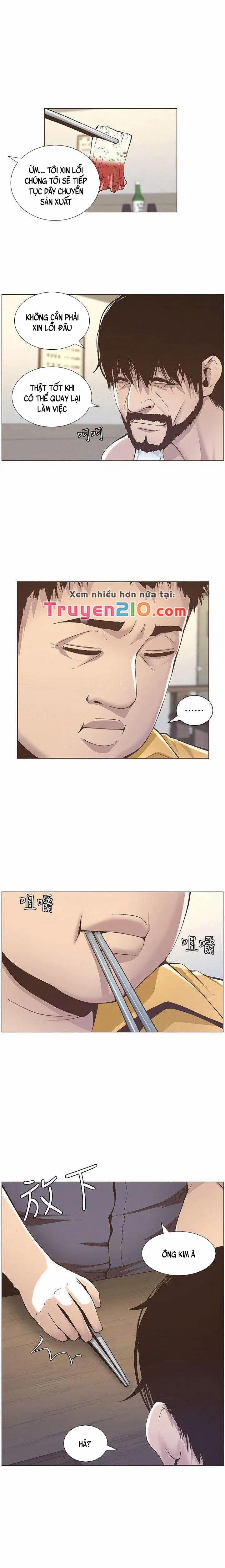 NGƯỜI BỐ DƯỢNG CỦA TÔI 10 trang 13