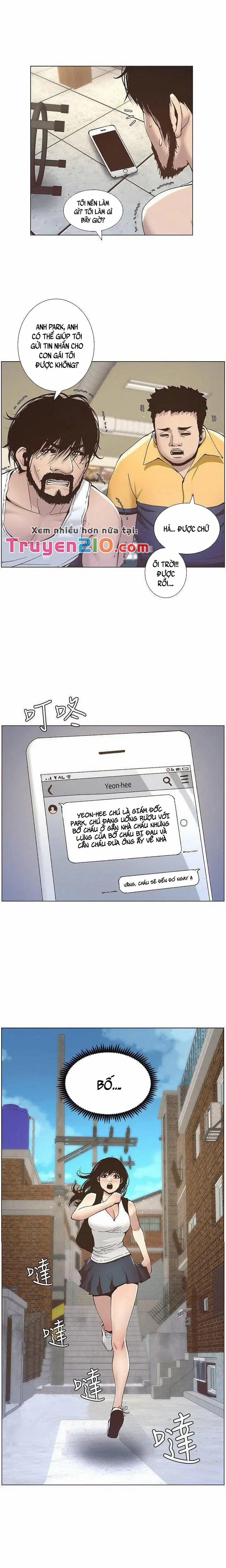 NGƯỜI BỐ DƯỢNG CỦA TÔI 10 trang 17
