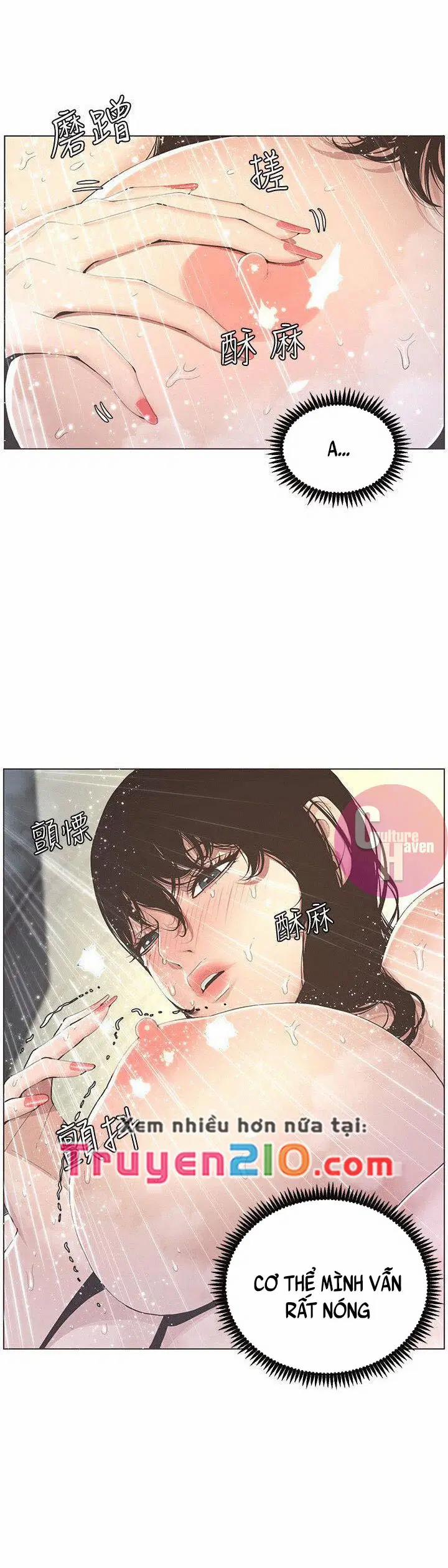 NGƯỜI BỐ DƯỢNG CỦA TÔI 2 trang 7