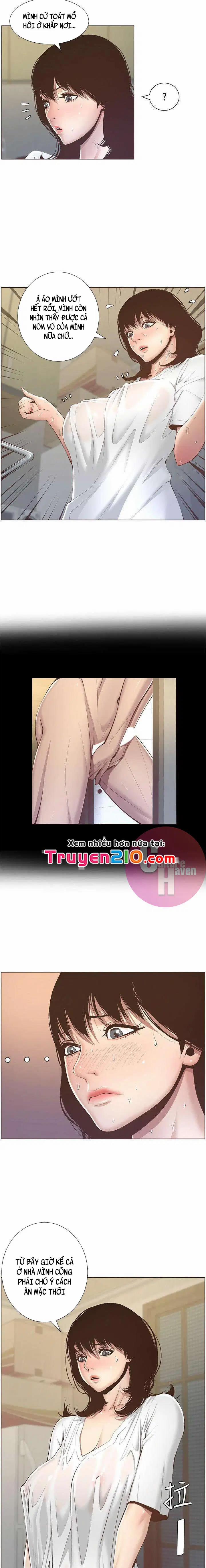 NGƯỜI BỐ DƯỢNG CỦA TÔI 6 trang 16