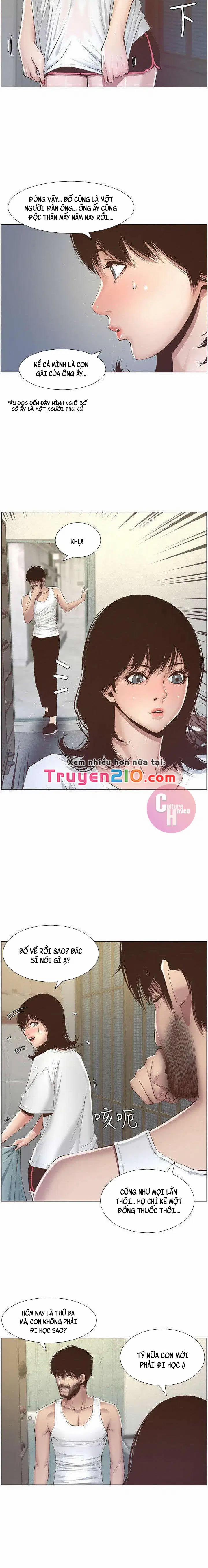 NGƯỜI BỐ DƯỢNG CỦA TÔI 6 trang 17