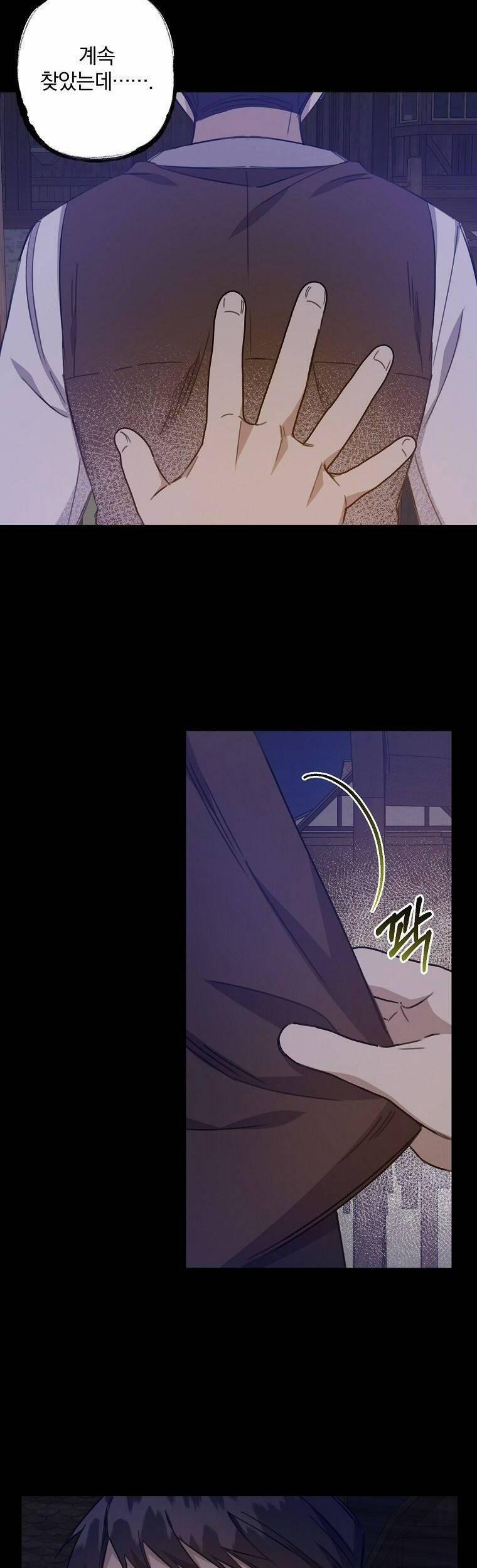 Nhân Vật Phản Diện Được Tôi Nuôi Dưỡng Tốt 17 trang 17