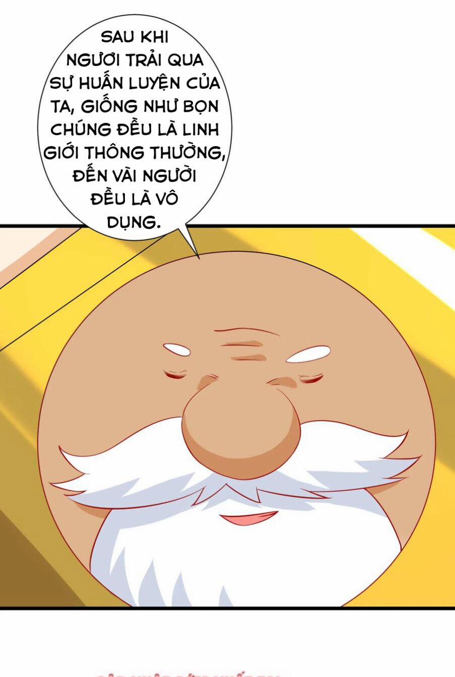 Nhất Đẳng Gia Đinh 162 trang 12