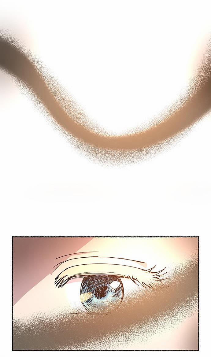 Như Gió Trên Cành Khô 42.5 trang 19