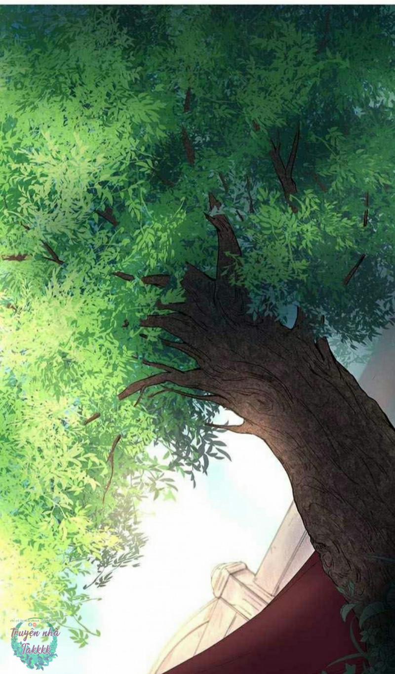 Như Gió Trên Cành Khô 8 trang 41