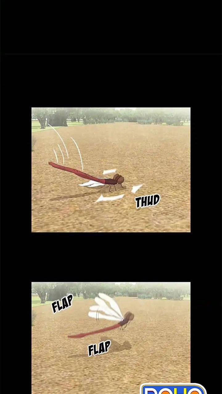 Những Câu Chuyện Kinh Dị Độc Đáo 13 trang 3