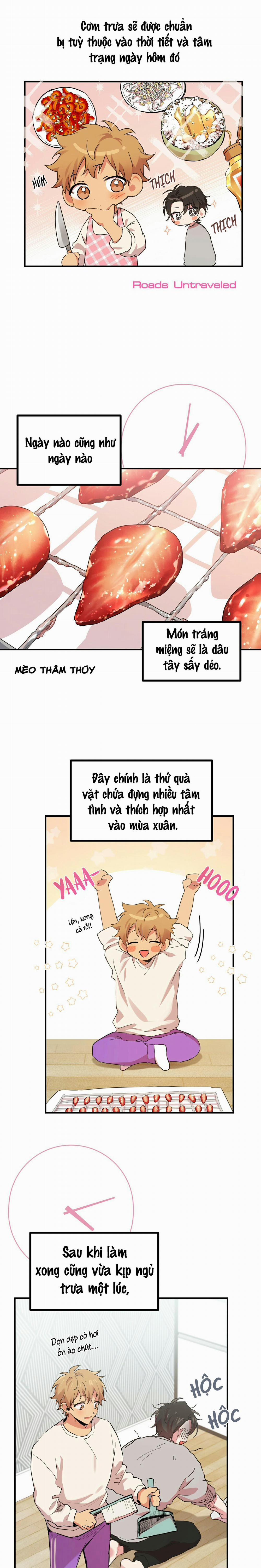 Những Chú Thỏ Của Habibi 11 trang 2