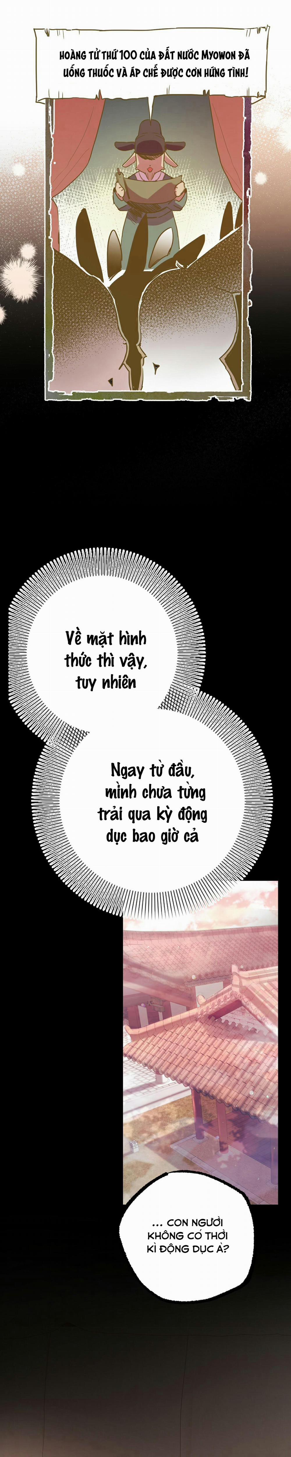 Những Chú Thỏ Của Habibi 12 trang 14