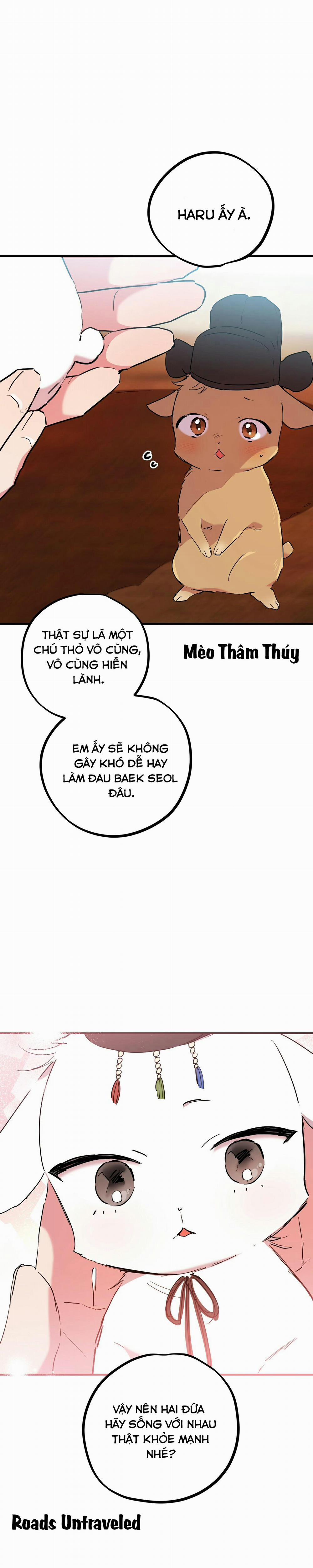 Những Chú Thỏ Của Habibi 16 trang 11
