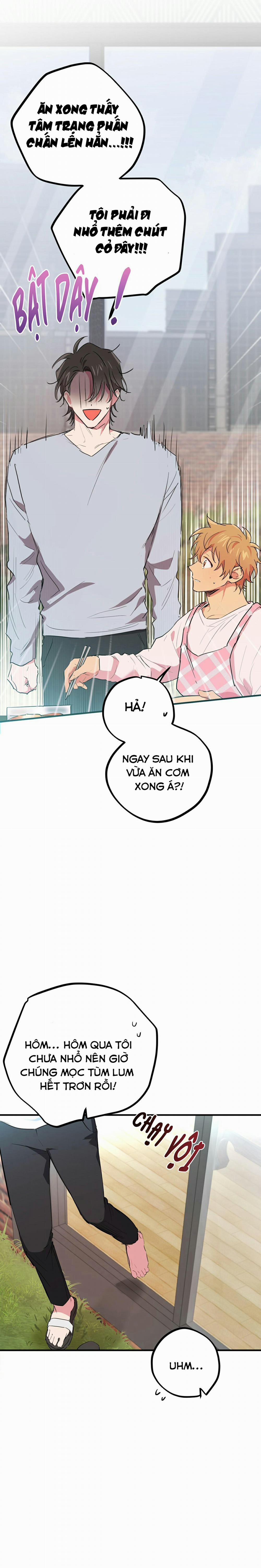 Những Chú Thỏ Của Habibi 16 trang 4