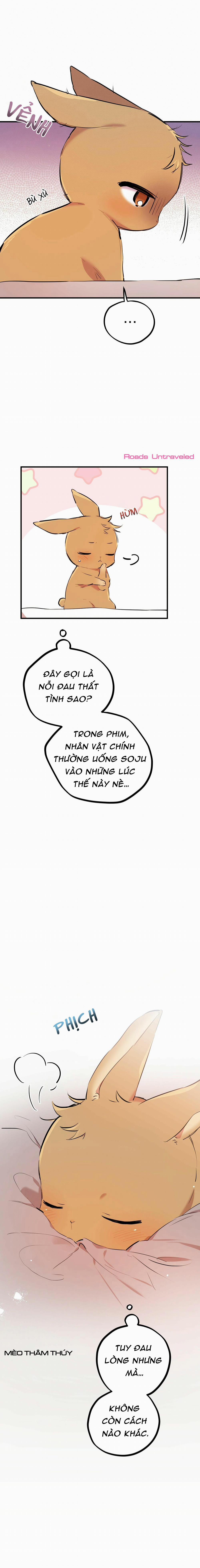 Những Chú Thỏ Của Habibi 18 trang 12