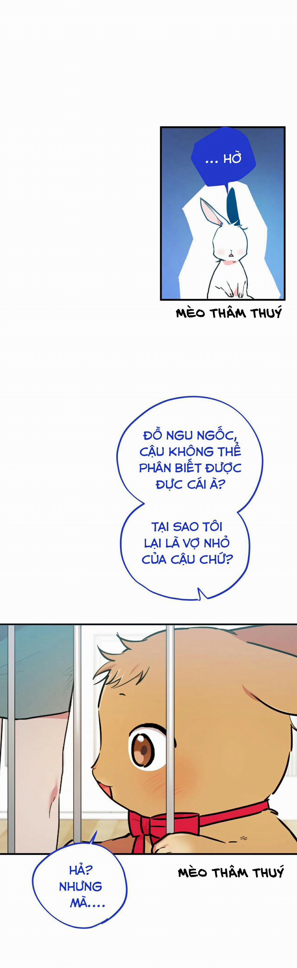 Những Chú Thỏ Của Habibi 2 trang 29