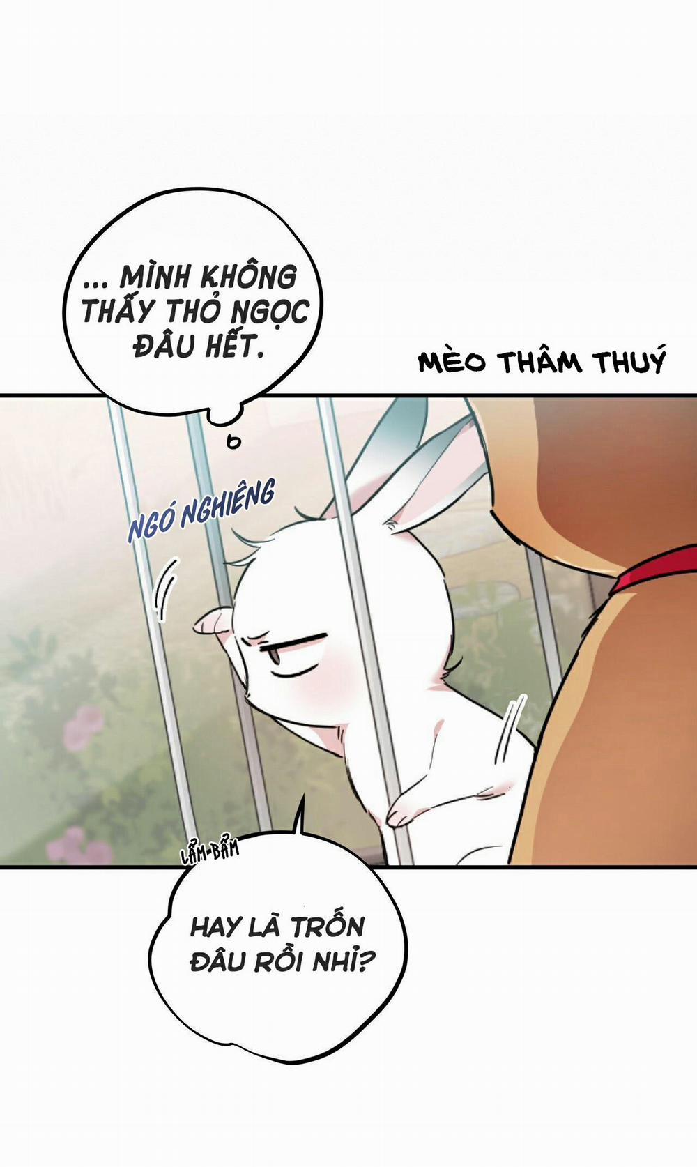 Những Chú Thỏ Của Habibi 2 trang 34