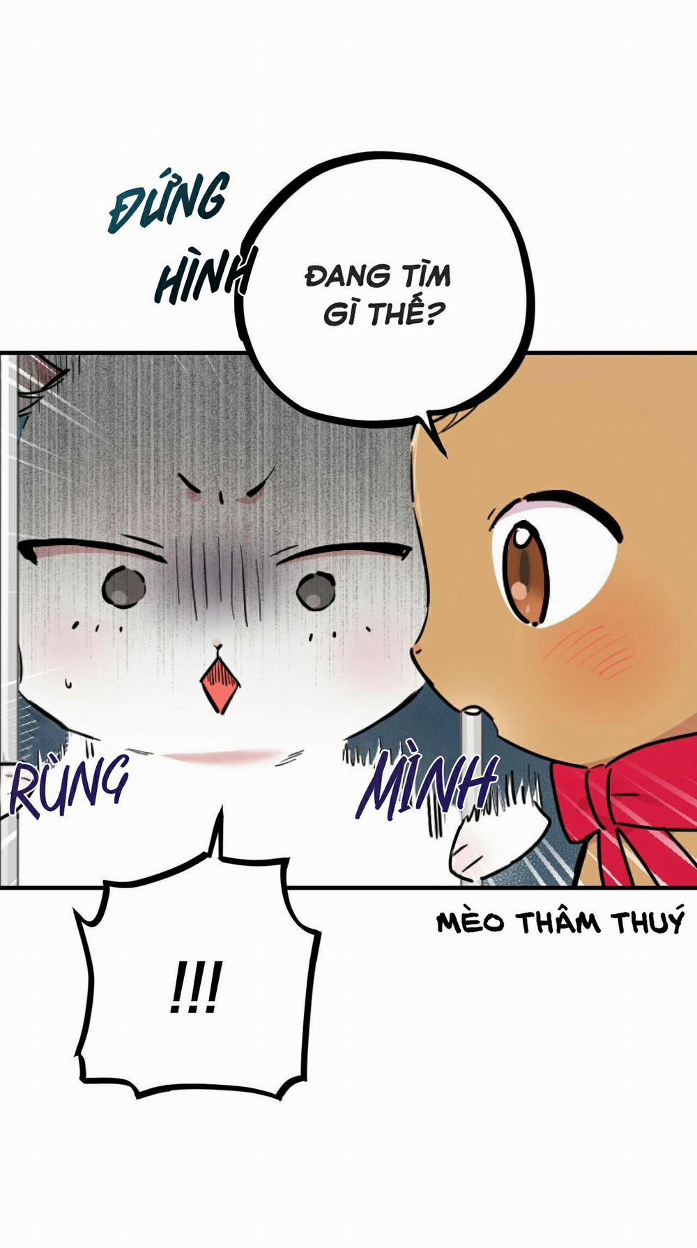 Những Chú Thỏ Của Habibi 2 trang 35