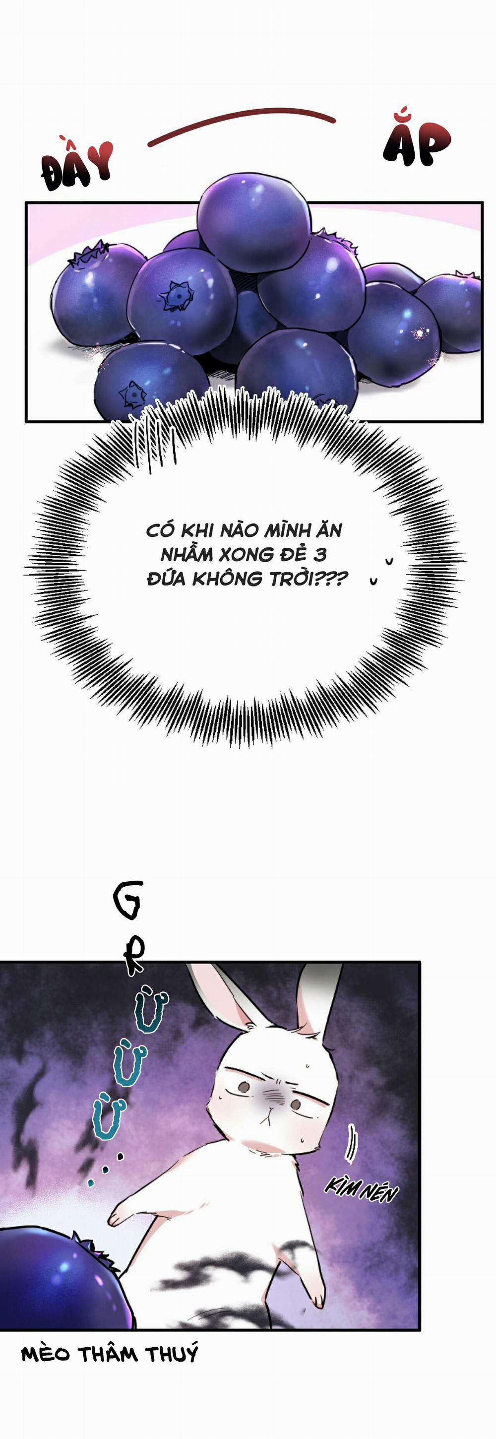 Những Chú Thỏ Của Habibi 2 trang 45