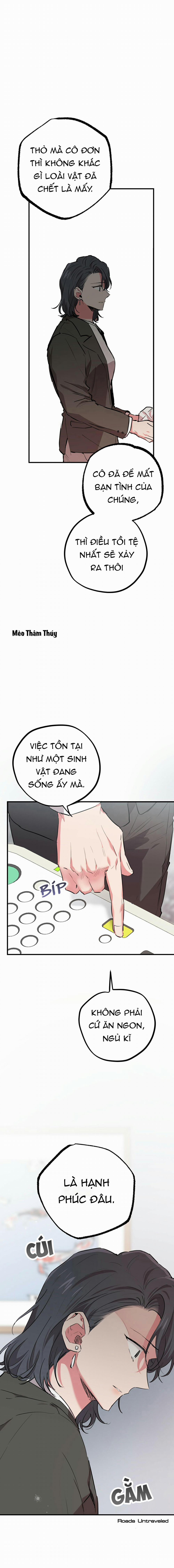 Những Chú Thỏ Của Habibi 20 trang 18