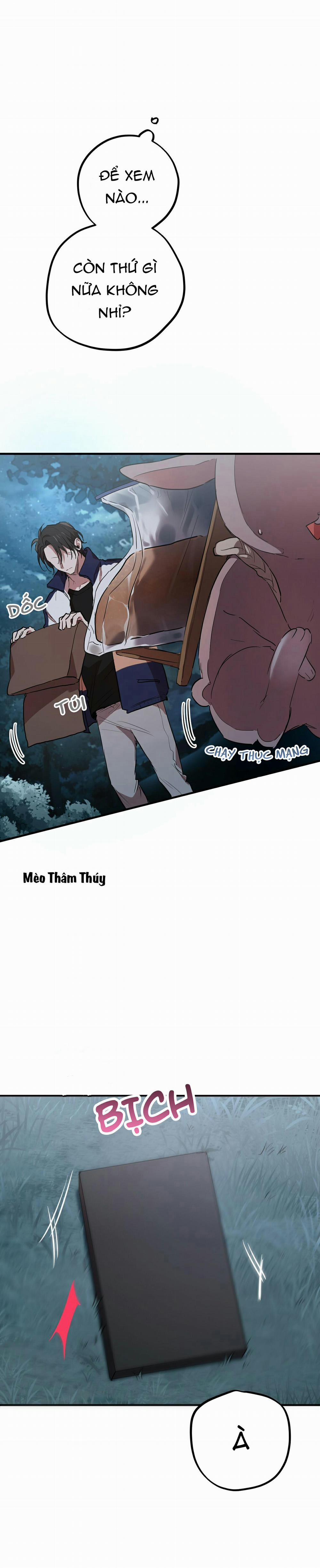 Những Chú Thỏ Của Habibi 20 trang 2