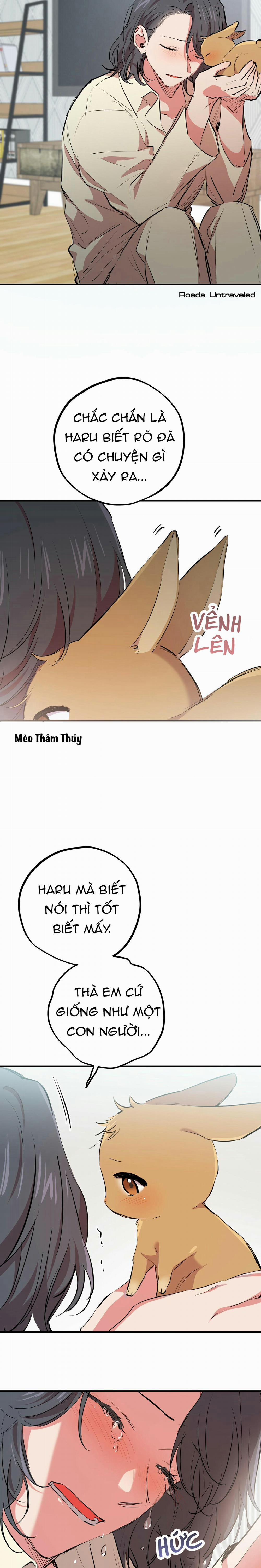 Những Chú Thỏ Của Habibi 20 trang 25