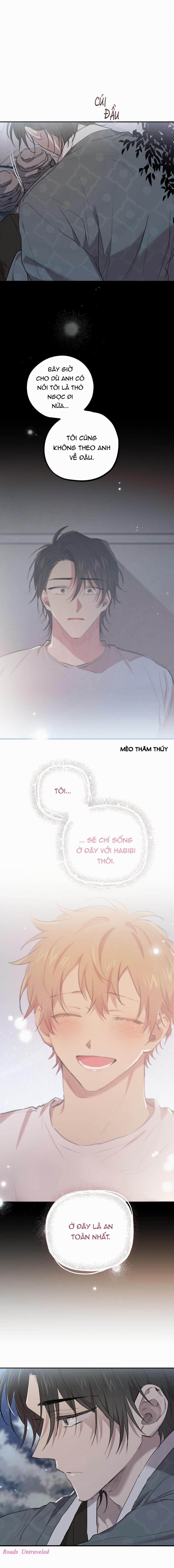 Những Chú Thỏ Của Habibi 22 trang 13