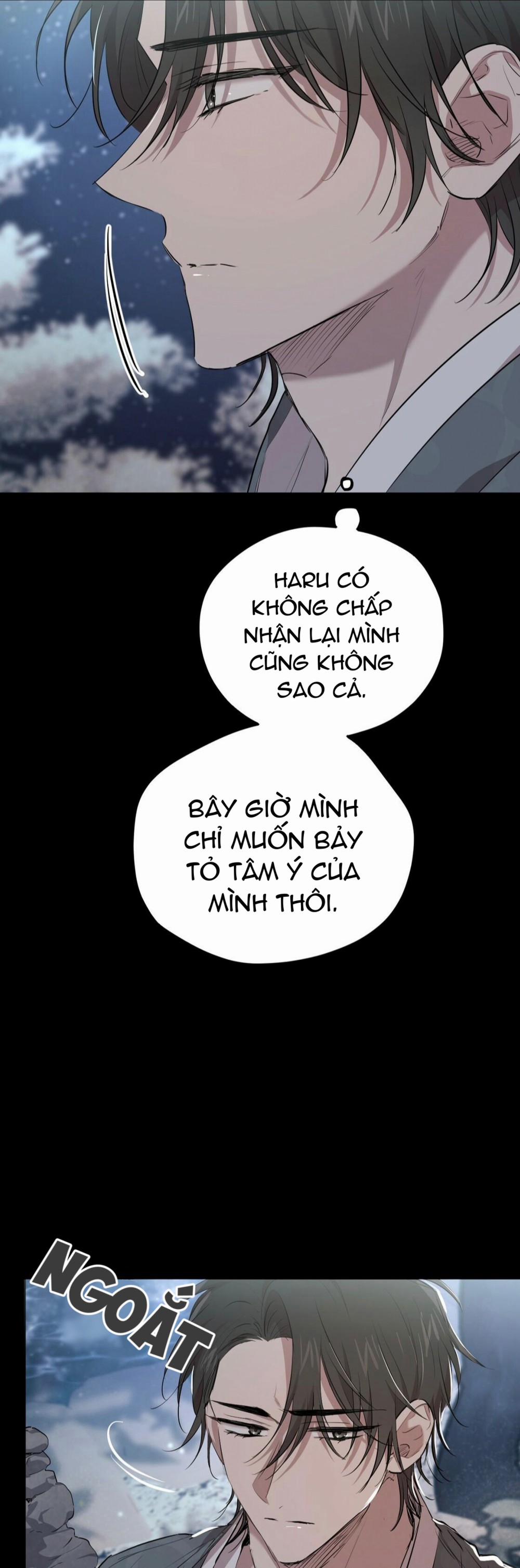 Những Chú Thỏ Của Habibi 23 trang 5