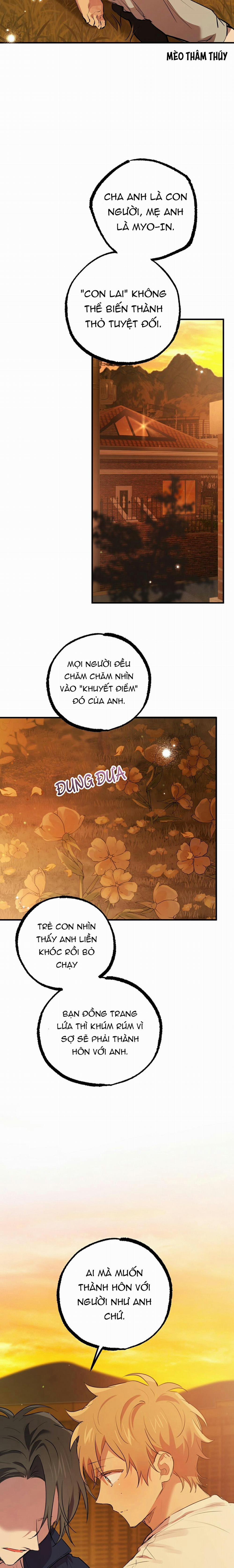 Những Chú Thỏ Của Habibi 24 trang 23