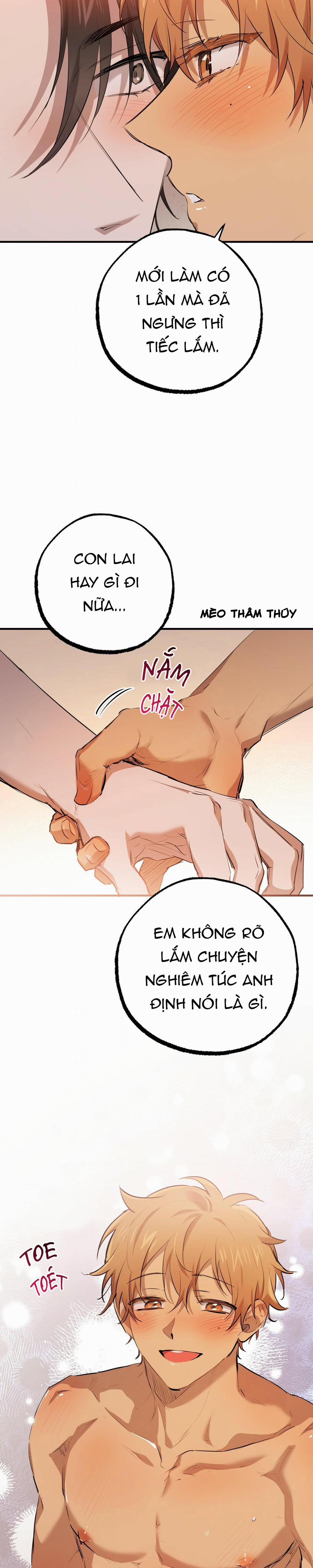 Những Chú Thỏ Của Habibi 27 trang 25