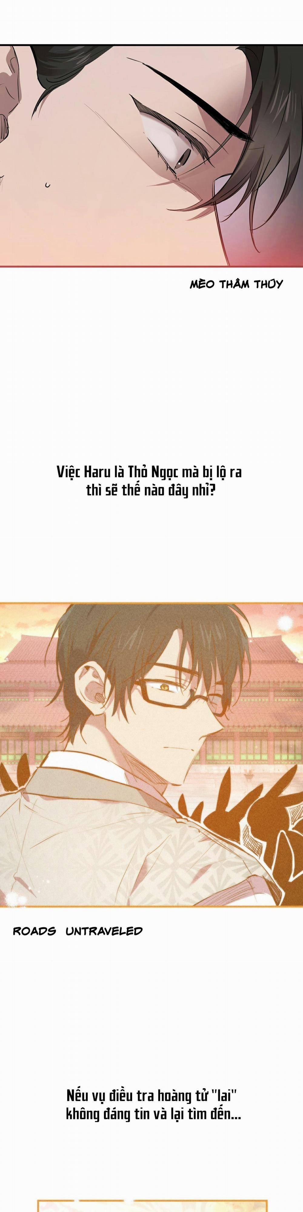 Những Chú Thỏ Của Habibi 28 trang 17