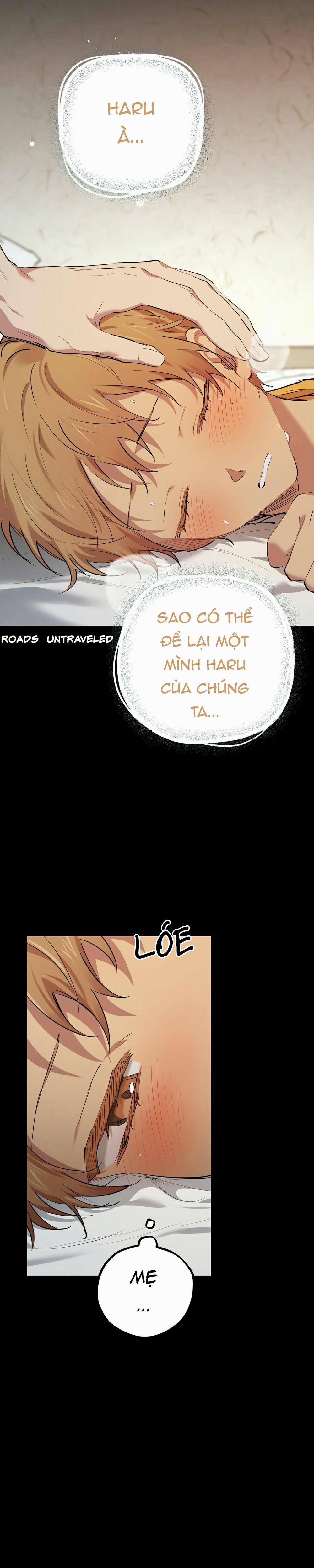 Những Chú Thỏ Của Habibi 29 trang 11