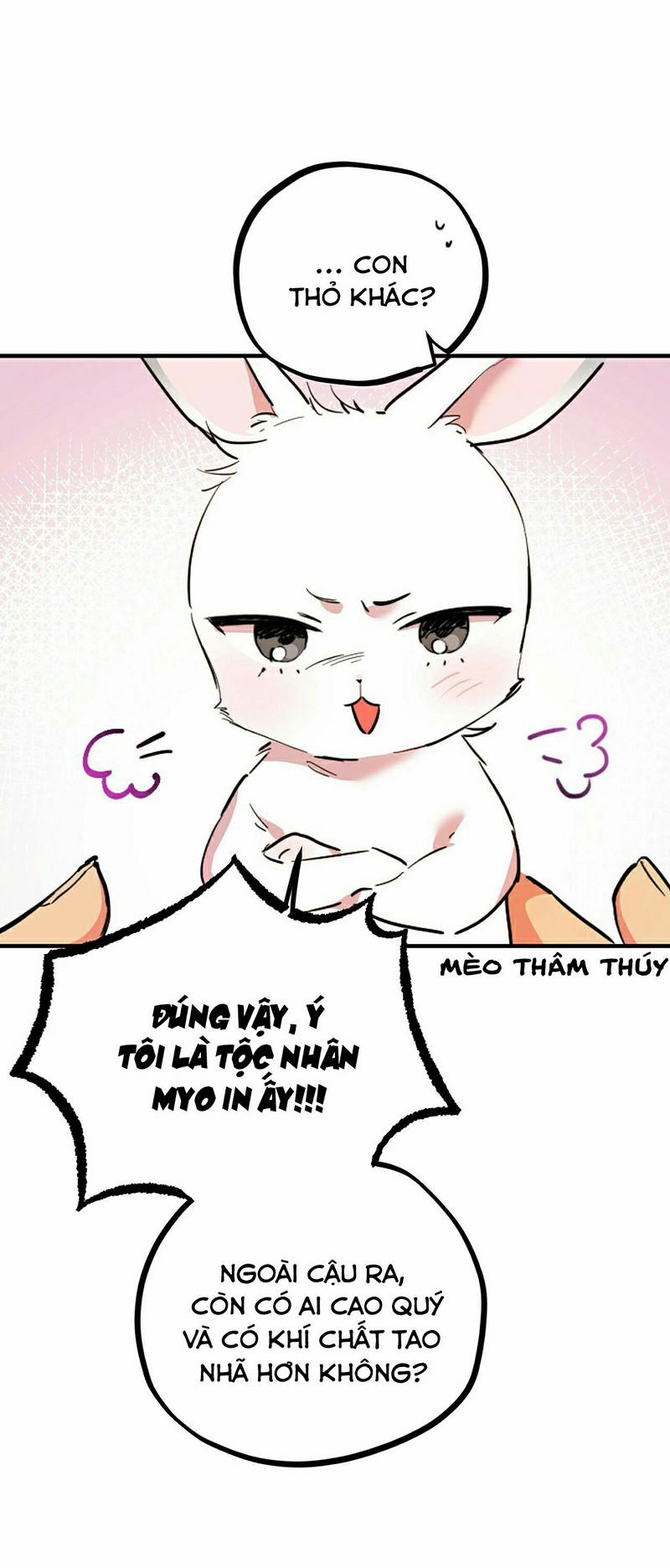 Những Chú Thỏ Của Habibi 3 trang 10