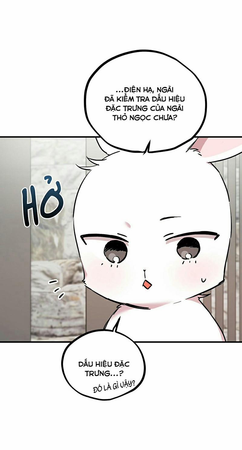 Những Chú Thỏ Của Habibi 3 trang 45