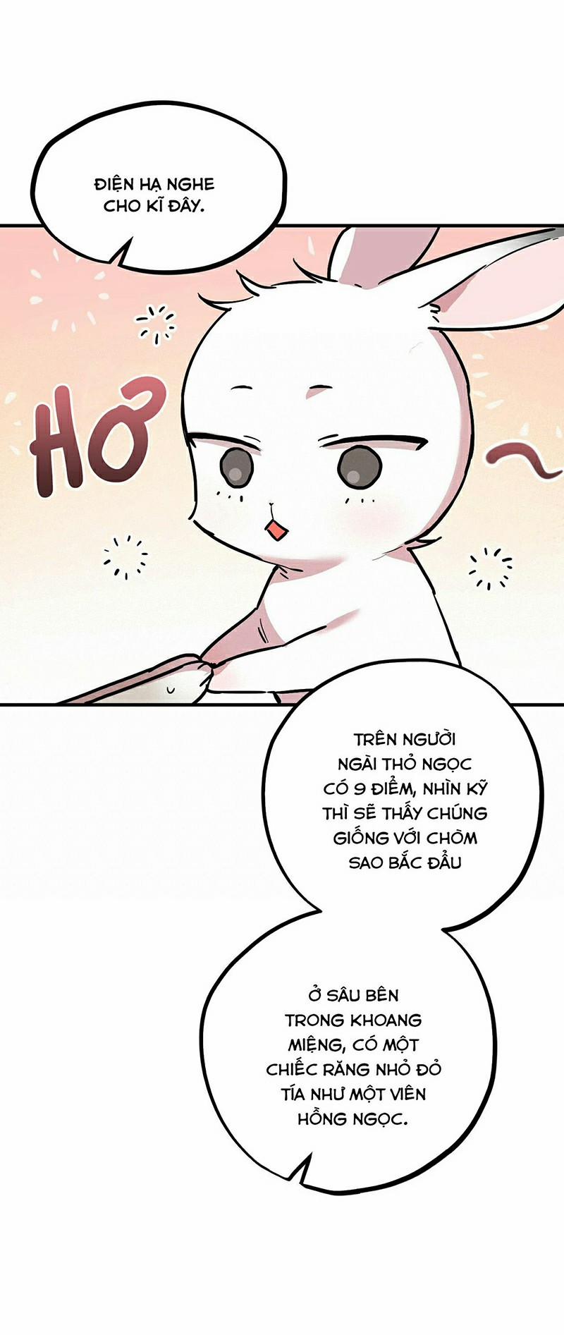 Những Chú Thỏ Của Habibi 3 trang 48