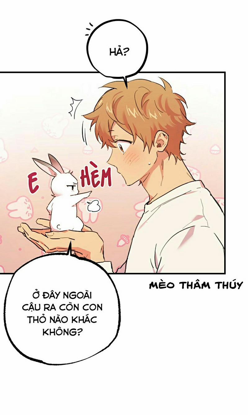 Những Chú Thỏ Của Habibi 3 trang 9