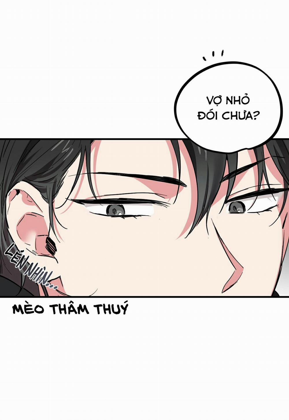 Những Chú Thỏ Của Habibi 4 trang 30
