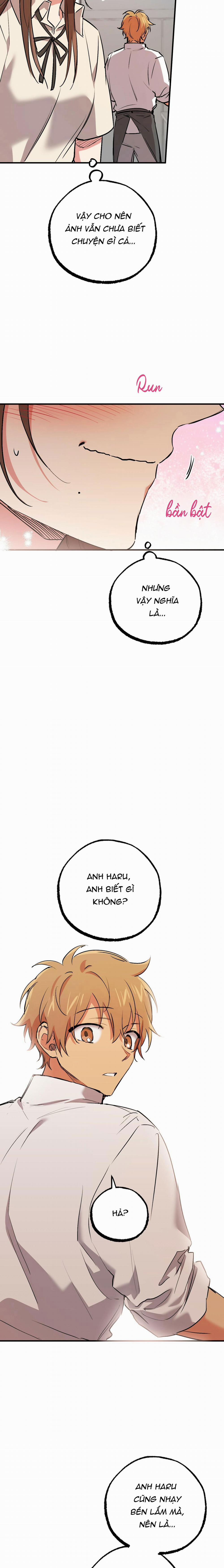 Những Chú Thỏ Của Habibi 42 trang 11